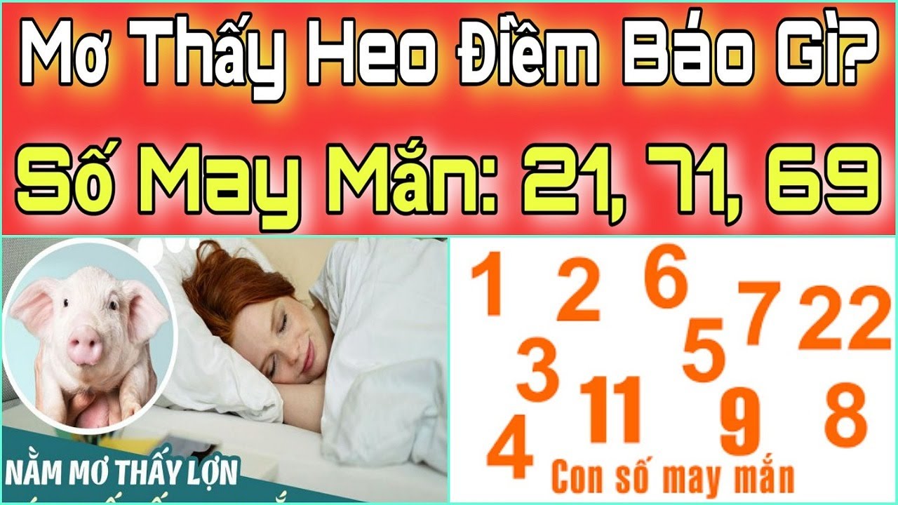 nam mo thay heo con danh so gi 67bde22e4eb7d